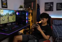 apa arti dari free fire